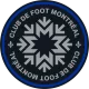 Logo Montreal Impact